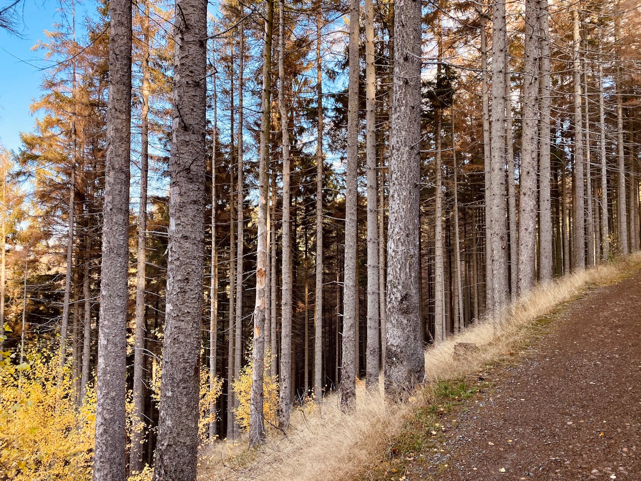 Friendly brewery team at work